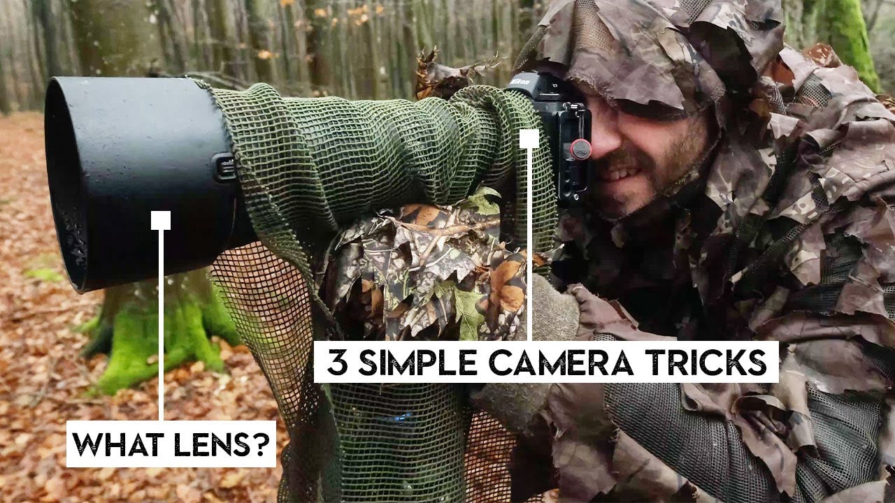 3 Wildlife Photography Tricks That Will Make You a Better Landscape Shooter (Yes, Really)
