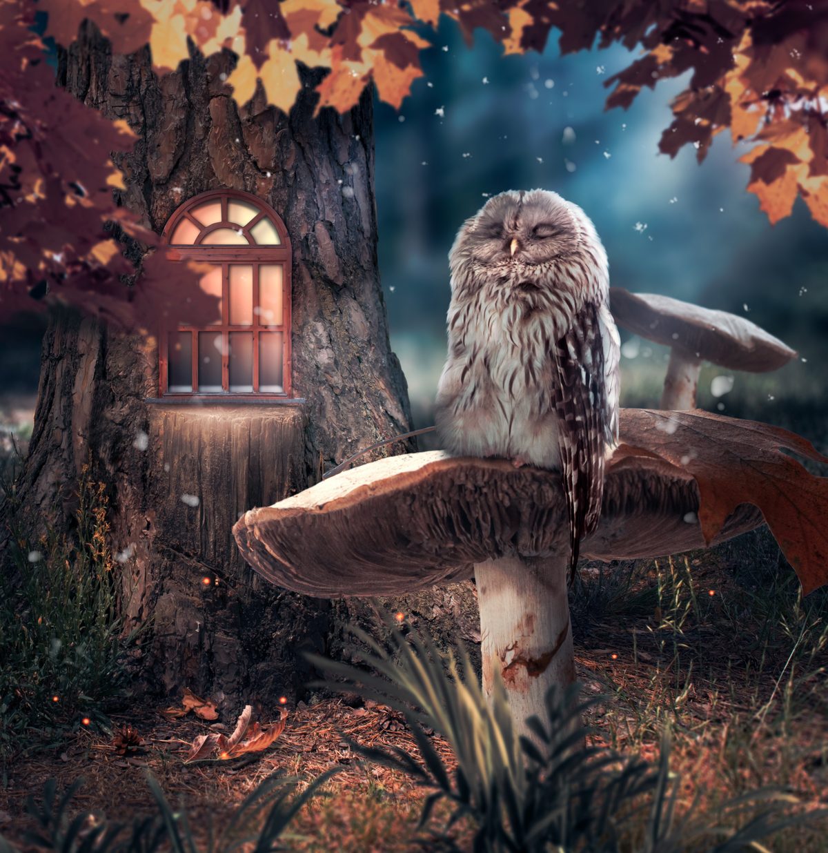 A $1 Million Yard Sale Find Exposes the Wild Truth About Photography Value