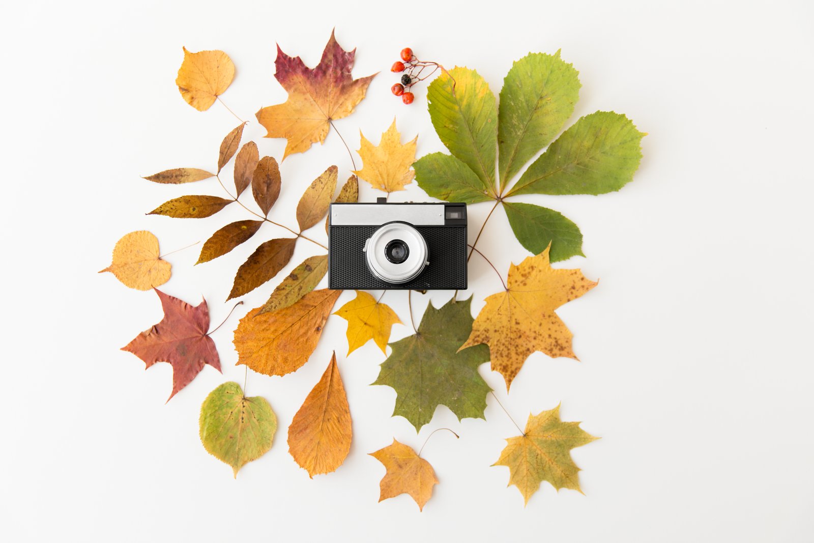 Apple's Memory Crisis: Why Your Camera Gear Just Got More Expensive