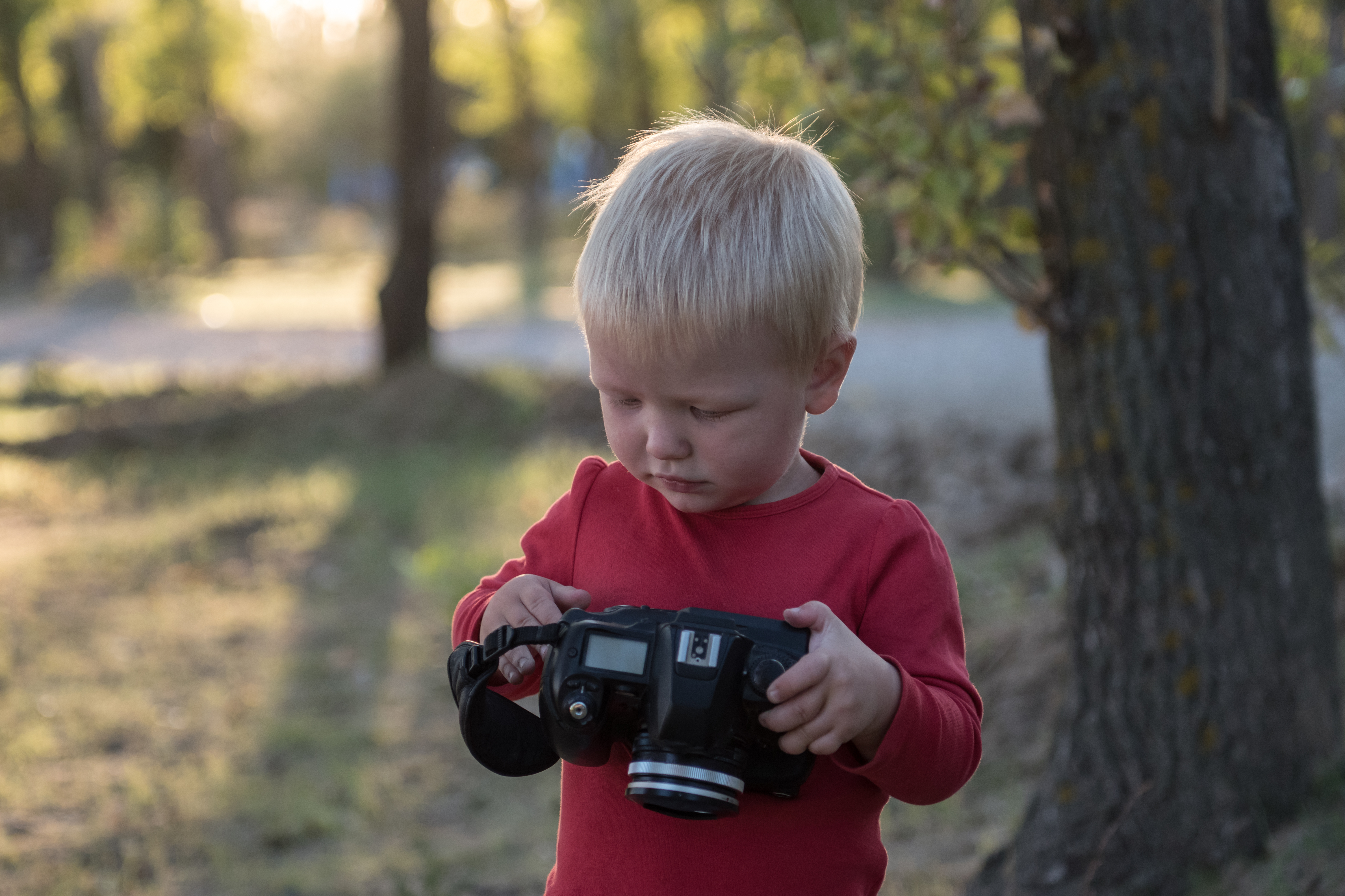 Budget-Friendly Camera Gear That Actually Matters: 7 Gifts Under $70
