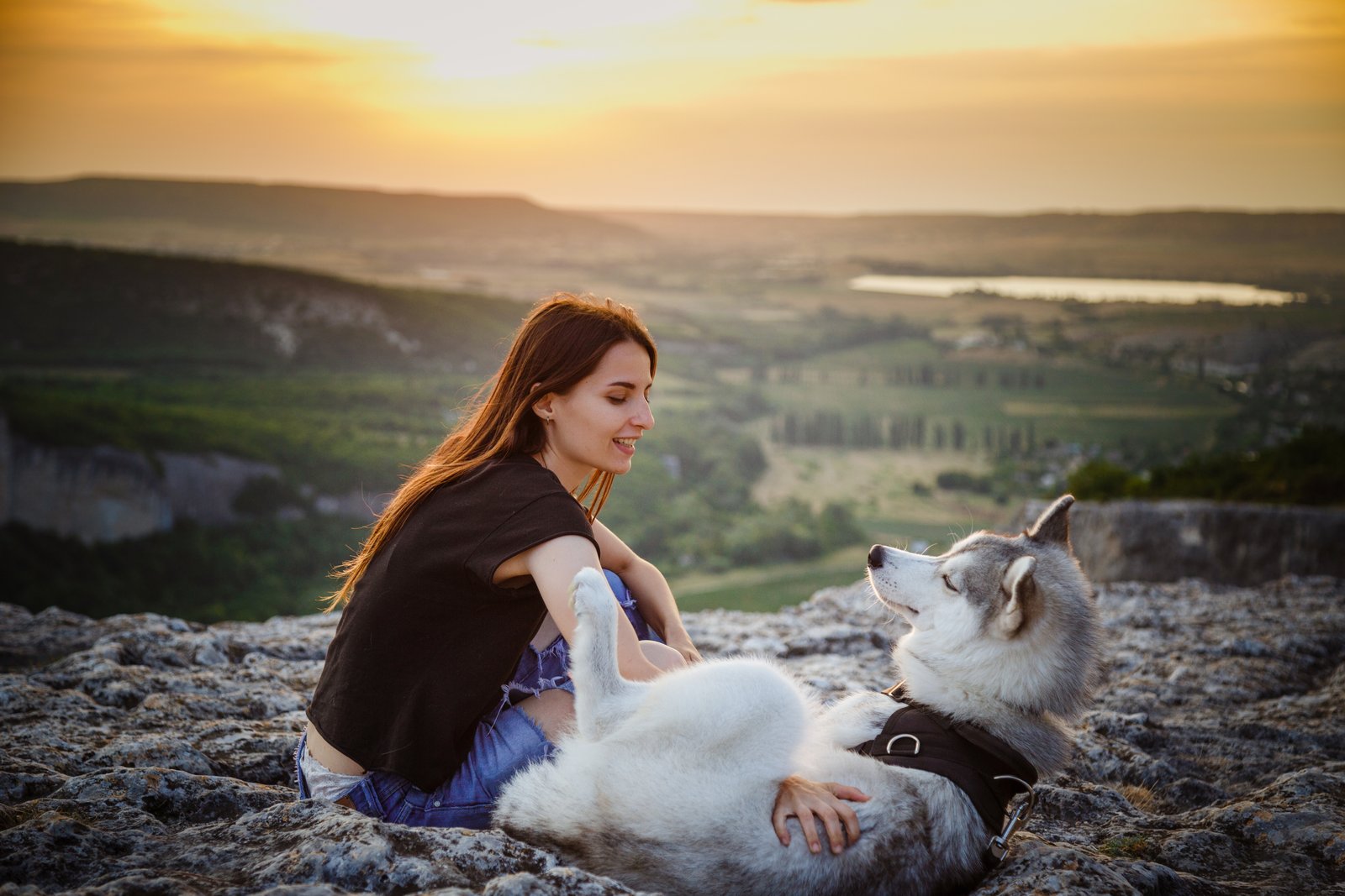 E-Mount Lens Deals on Sigma and Voigtländer: Real Value or Just Marketing?