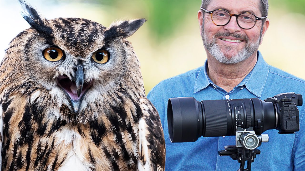 How to Photograph an Owl (or Any Fast Bird) With a Budget Telephoto: Lessons From Fuji X-H2 and the Tamron 150-500mm