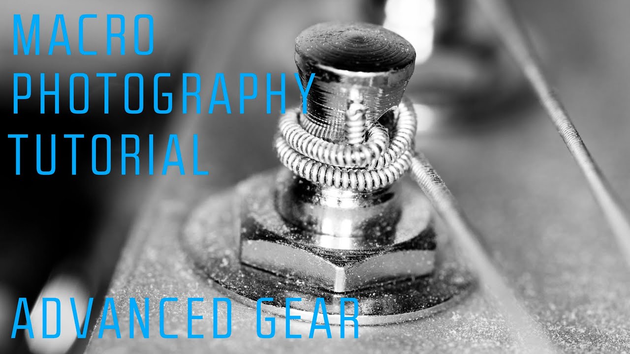 Macro Photography With Dedicated Gear: What Actually Changes When You Level Up