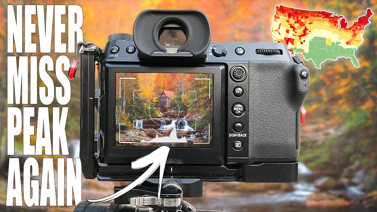 Plan Smarter Fall Shoots This Year (Mark Denney's No-Gear-Required Framework, Broken Down)