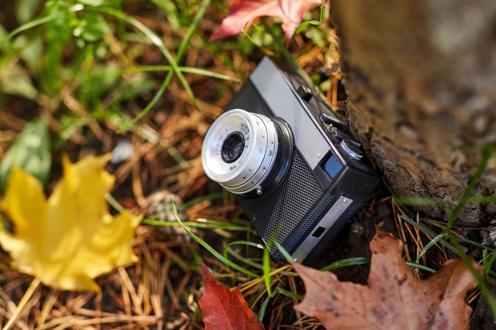 Prime Day Camera Deals: Skip the Hype, Here's What's Actually Worth Your Money