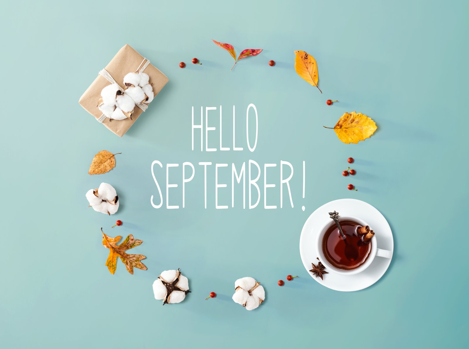 September Photo Challenge: Time to Dust Off Your Gear and Actually Use It