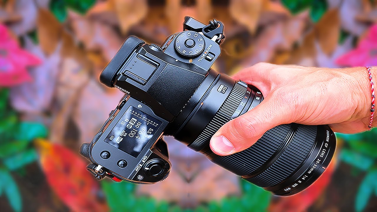 Think Smaller: How Switching to Macro Saved My Creative Off-Season (And Why I Ditched My Wide Angle Too)