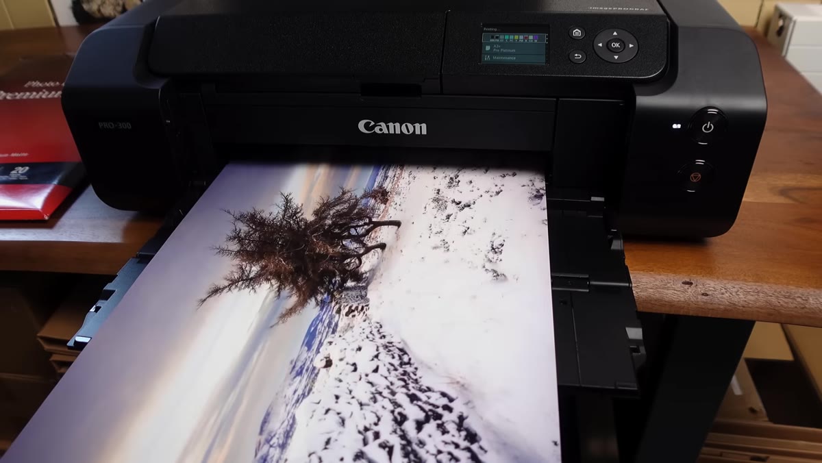 Canon Pro 300 sitting next to the Pro 10s for size comparison