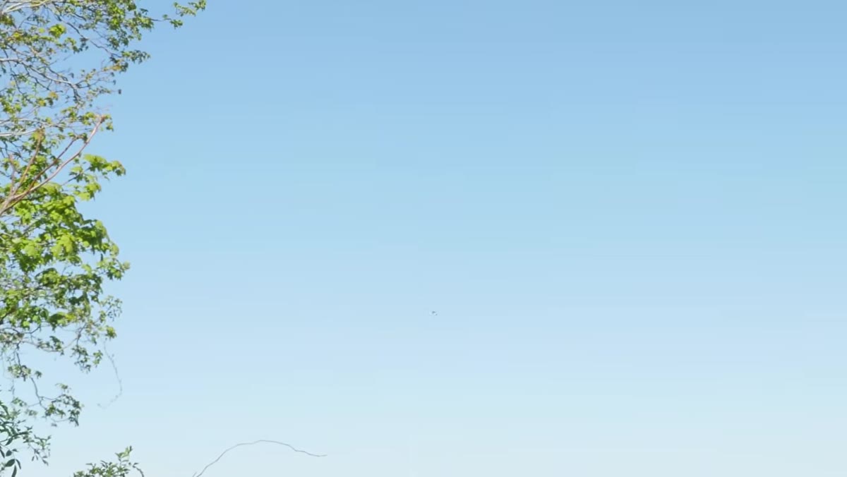 Low-light bird tracking stress test with both camera systems