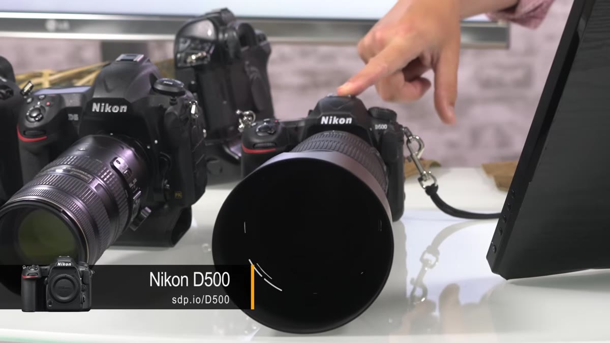 Nikon D500 presented as recommended wildlife alternative