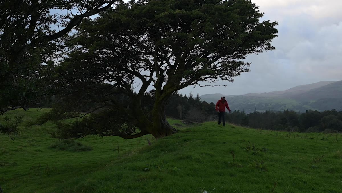 Danson switching to 24-70mm to approach a tree composition
