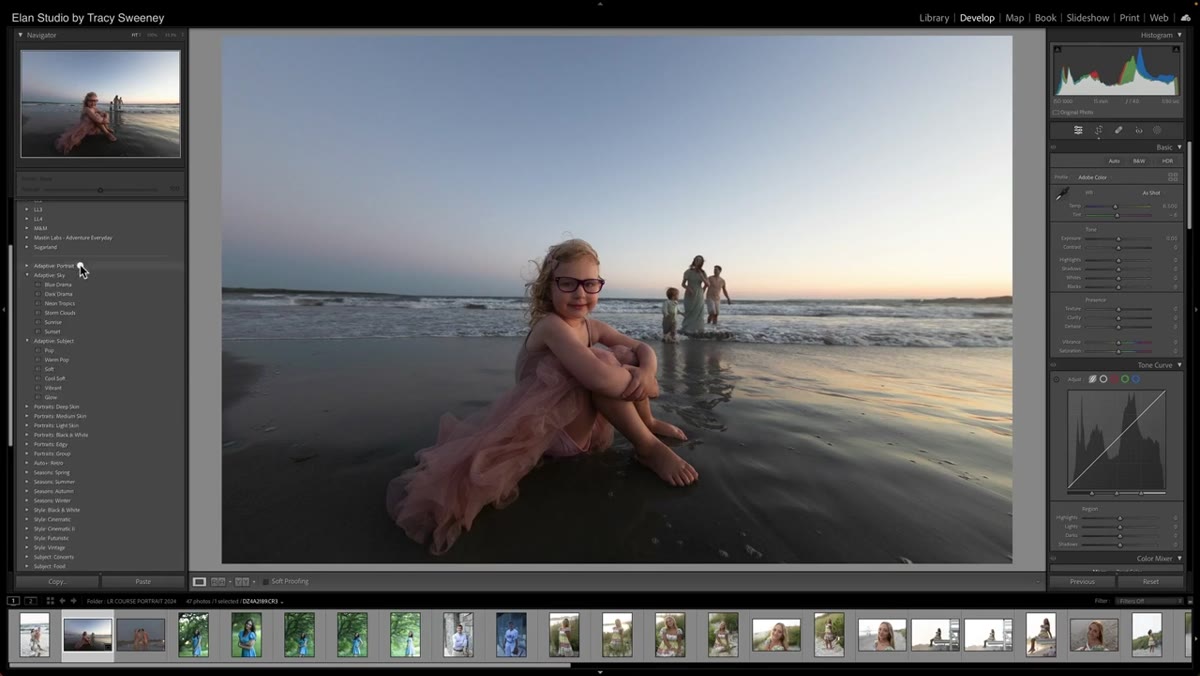 Browsing adaptive subject presets in the Presets panel