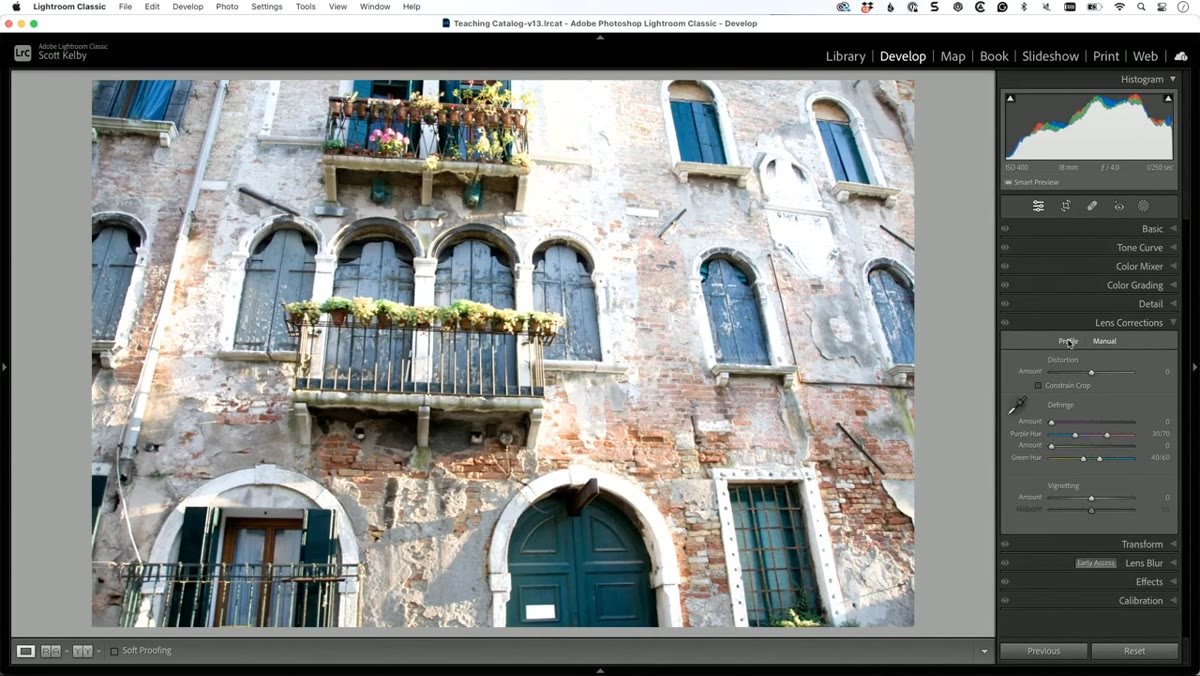 Lens Corrections panel open, Profile tab selected