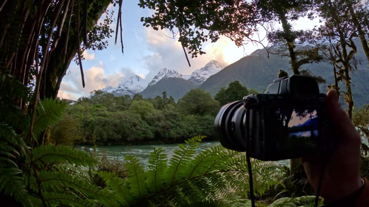 Photographer crouching within one foot of foreground rocks or ferns