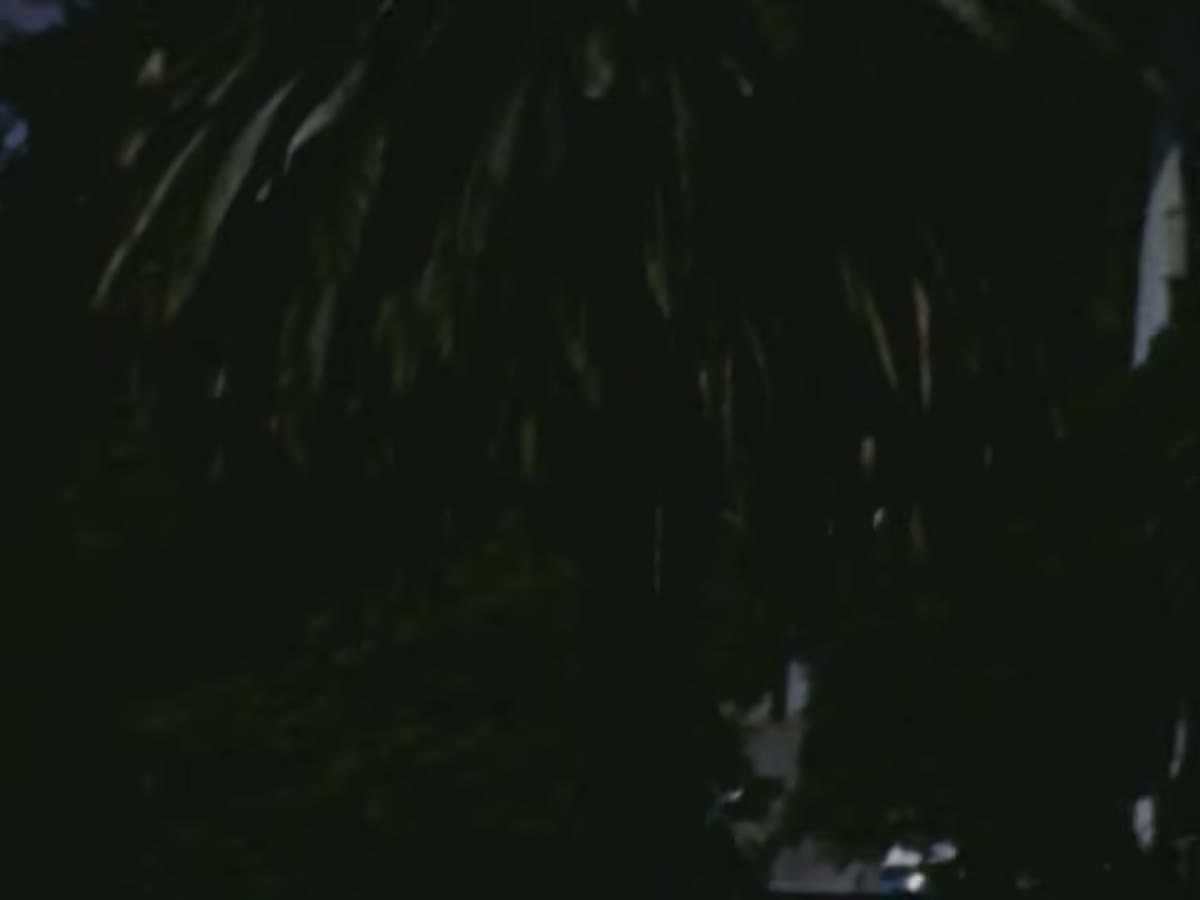 Joking suggestion to point security camera at candlestick for evidence
