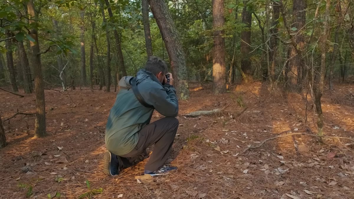 Mark zooming from telephoto to wide end to show framing options