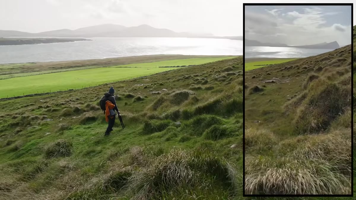 Lens zooming from wide to tighter on foreground grass detail