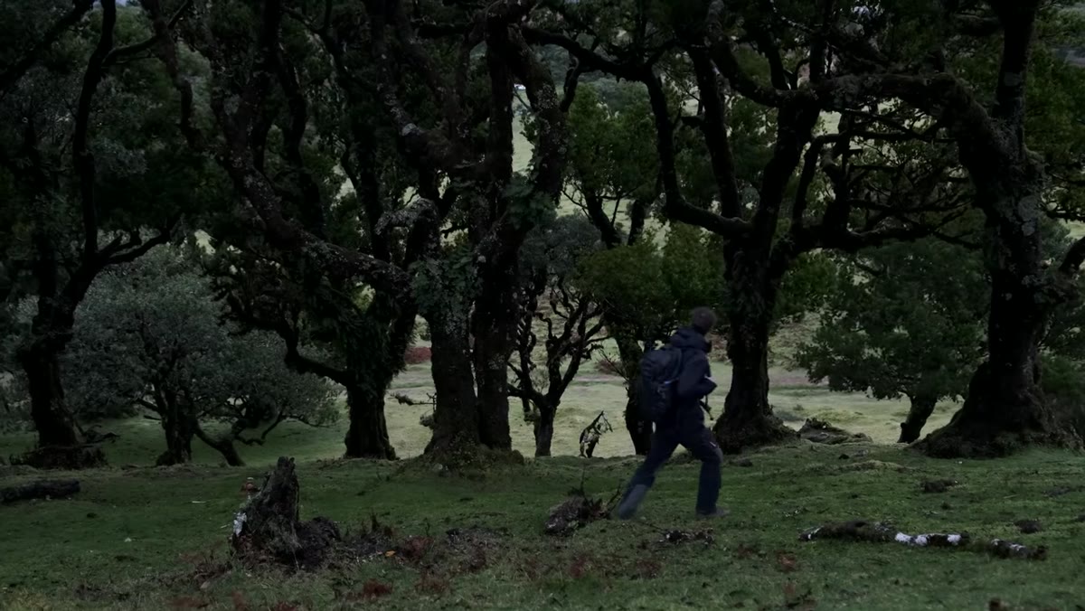 Heaton arriving at foggy Fanel Forest on a wet morning