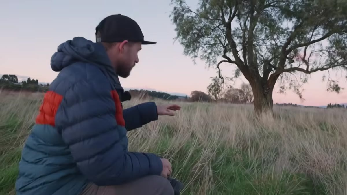 Camera positioned low near grass to exaggerate foreground size