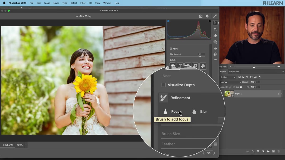 Painting refinements with Blur and In Focus brush options