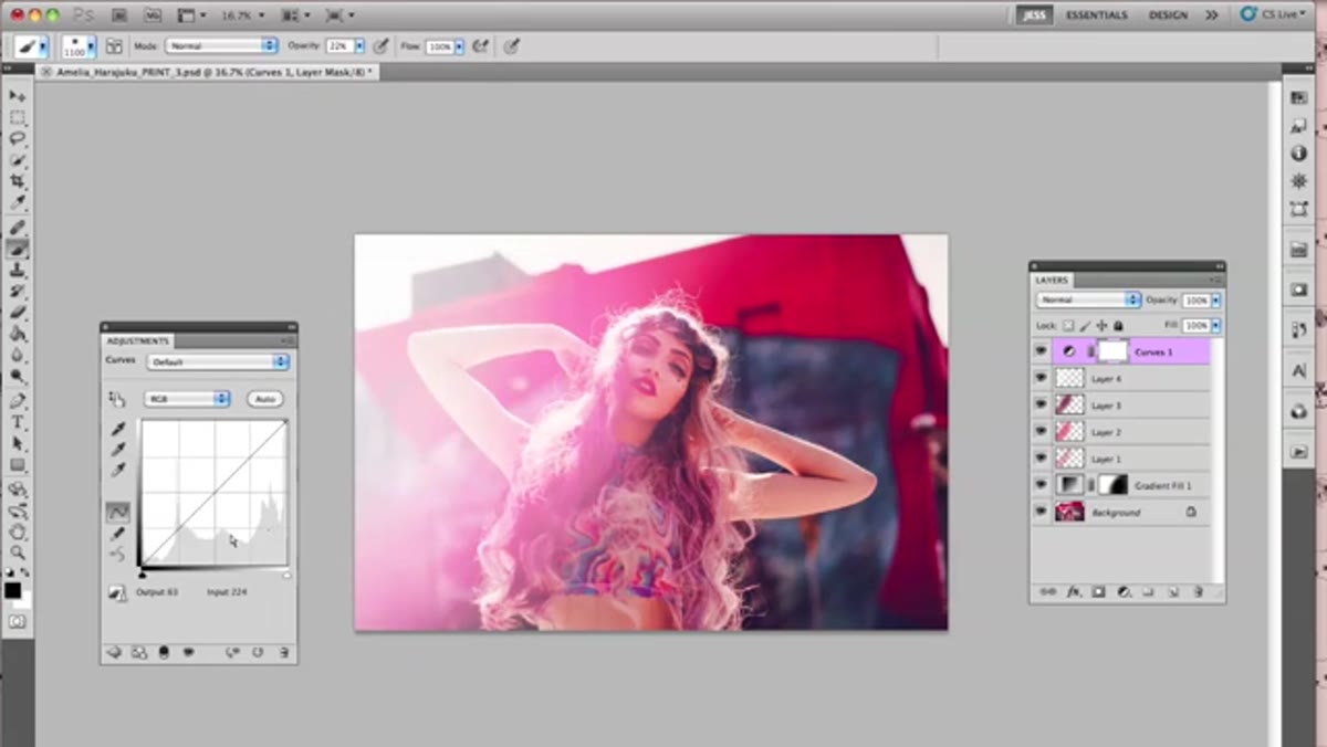 Curves adjustment layer dialog with a slight lift applied