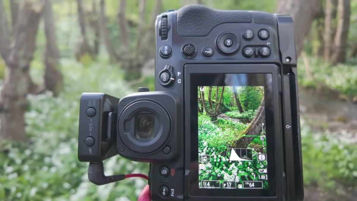Camera display showing f11 and ISO 64 settings