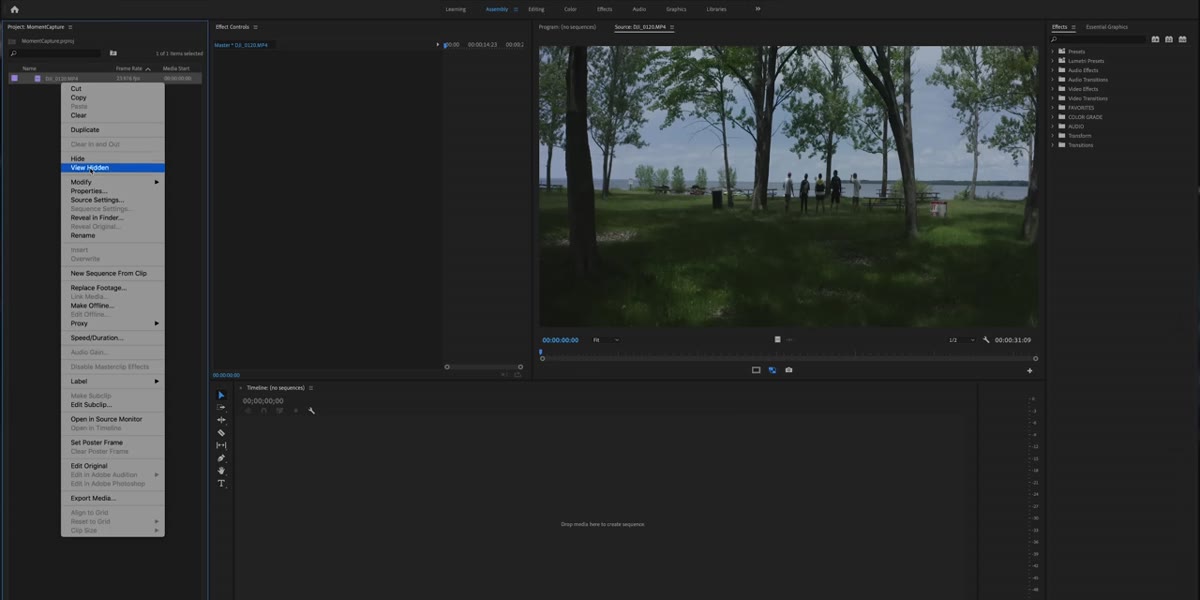 Right-click modify menu in Premiere Pro showing anamorphic de-squeeze option