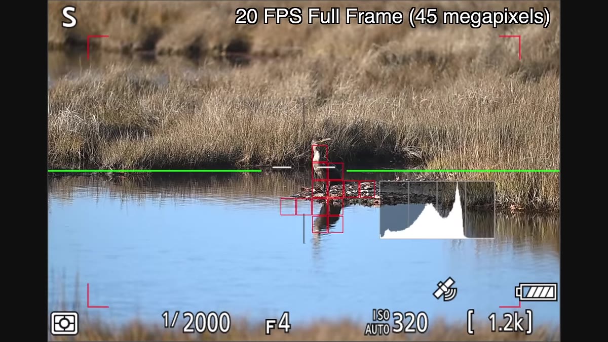 Subject detection box appearing in 60fps vs absent in 20fps