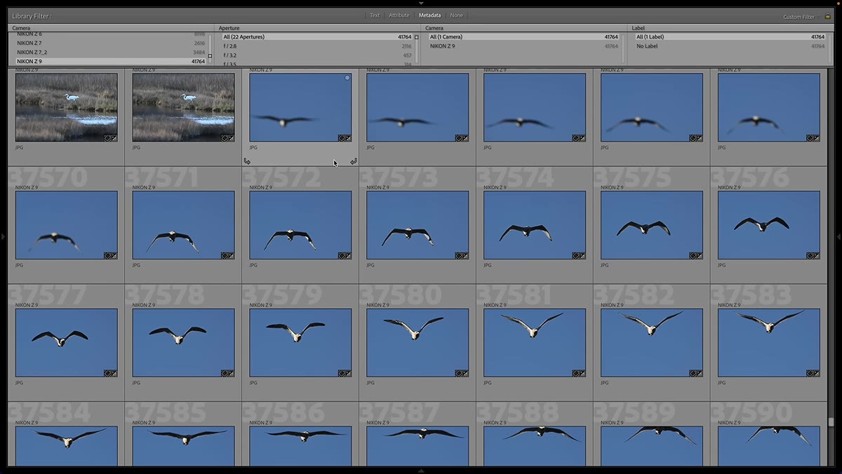 Long burst sequence in Lightroom grid showing focus shift
