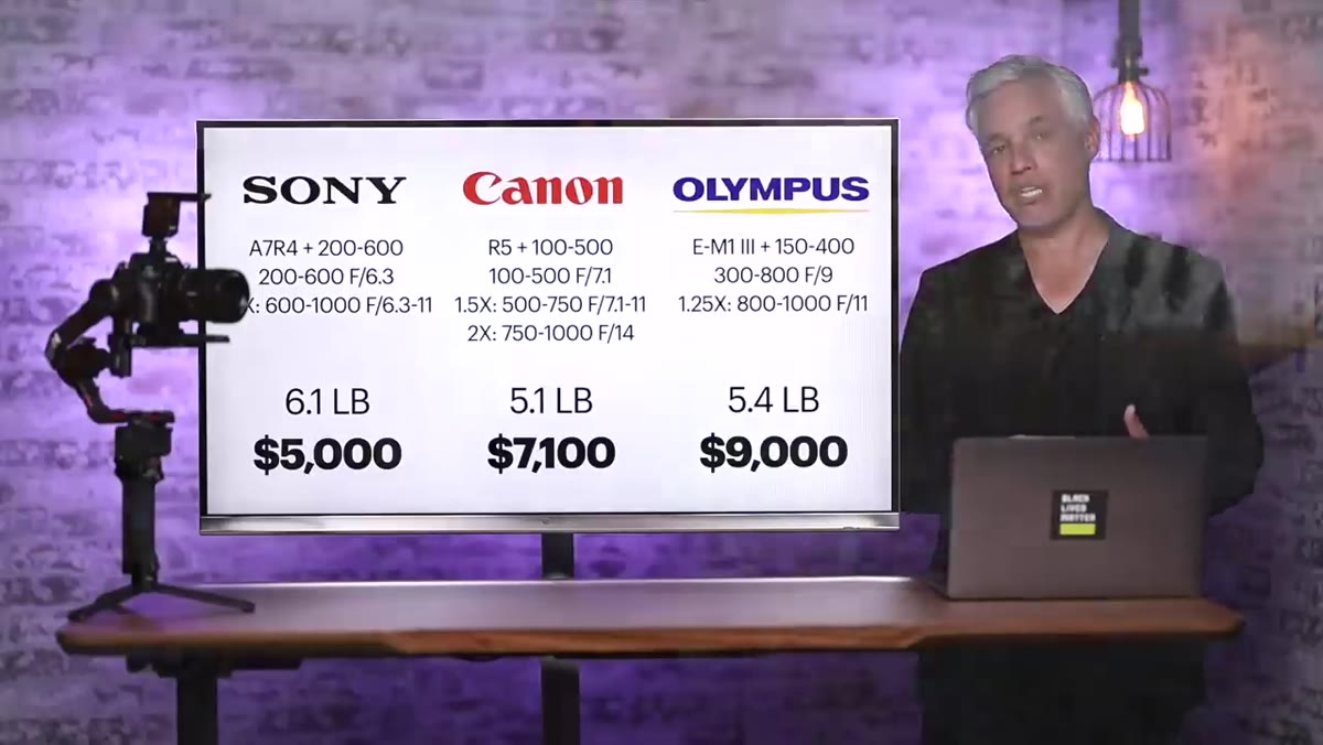 Canon R5 and Sony a7R IV shown side by side with wildlife test shots
