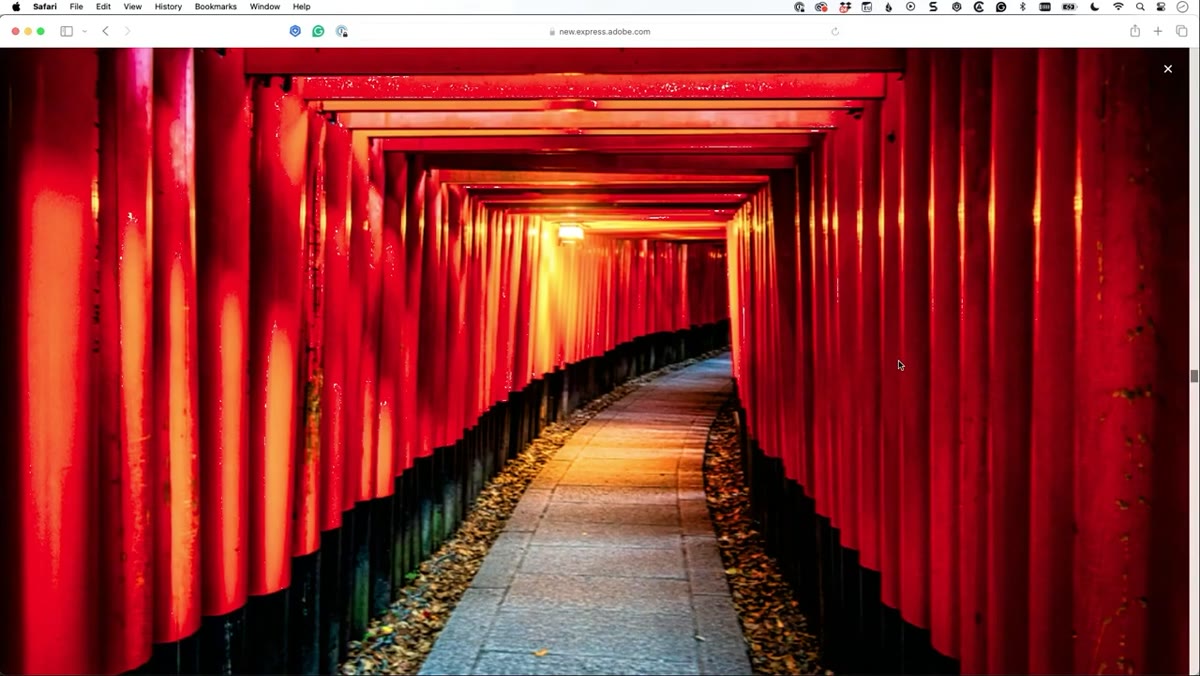 Red torii gate path showing the empty left side versus busy right side