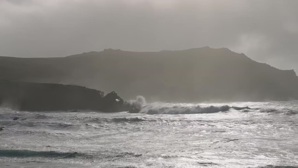 Danson at the shoreline watching massive storm waves break