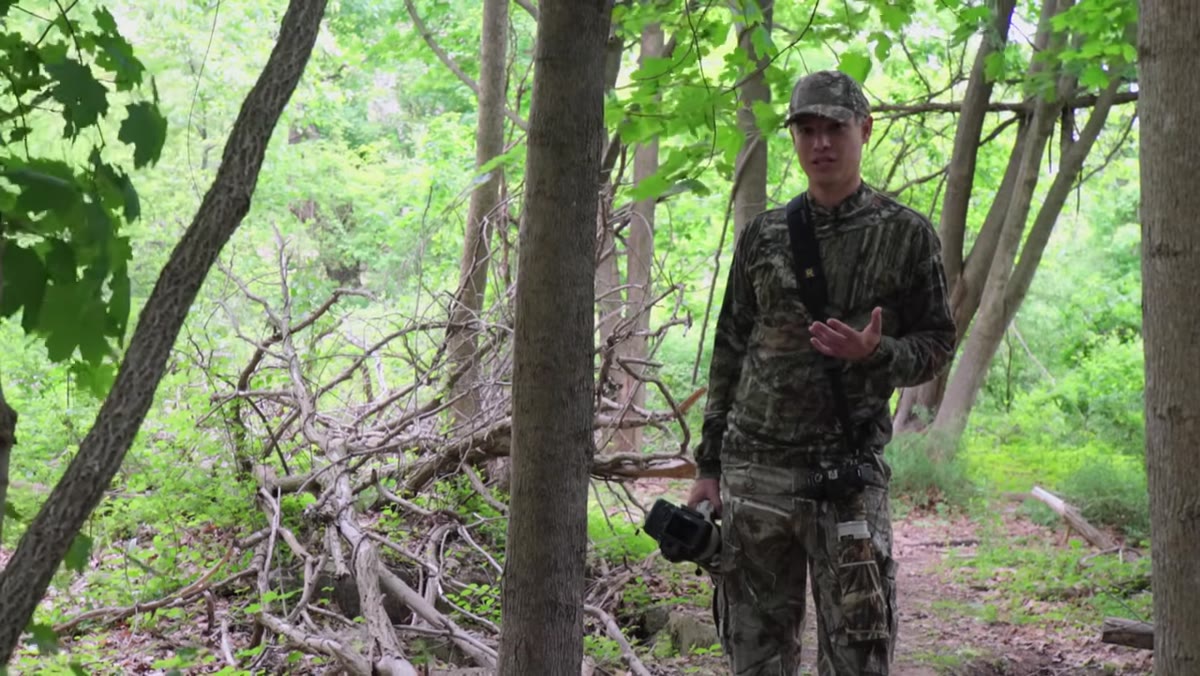 Tony comparing autofocus performance of the 5DSR vs 7D Mark II and 1DX