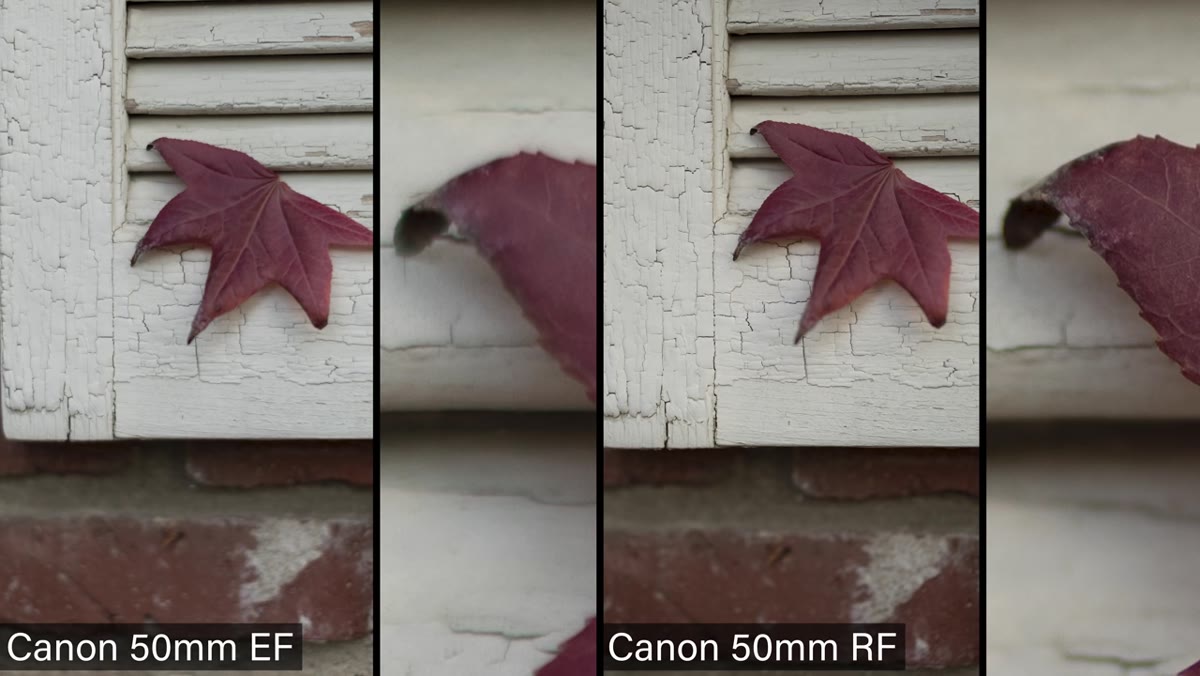 R6 with RF lens versus a7 IV side by side comparison