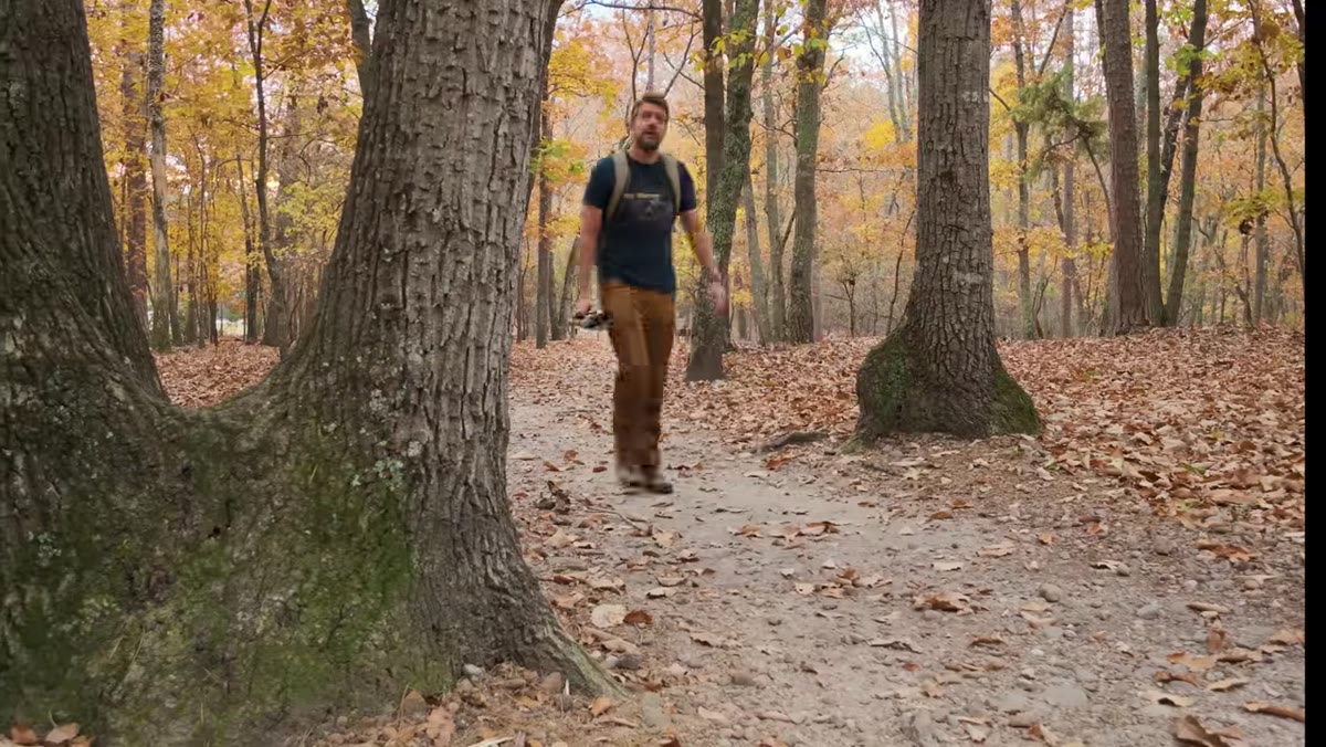 Overcast woodland path with muted post-peak fall color