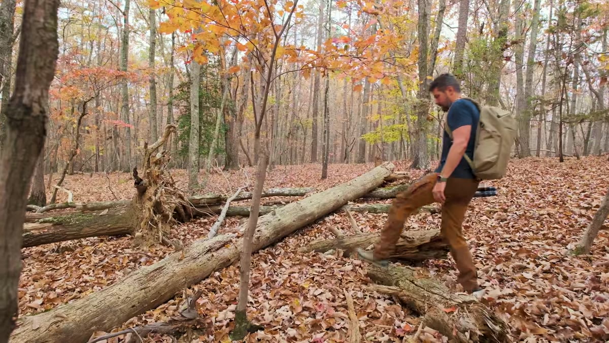 Photographer walking through sparse woodland, lens bag visible
