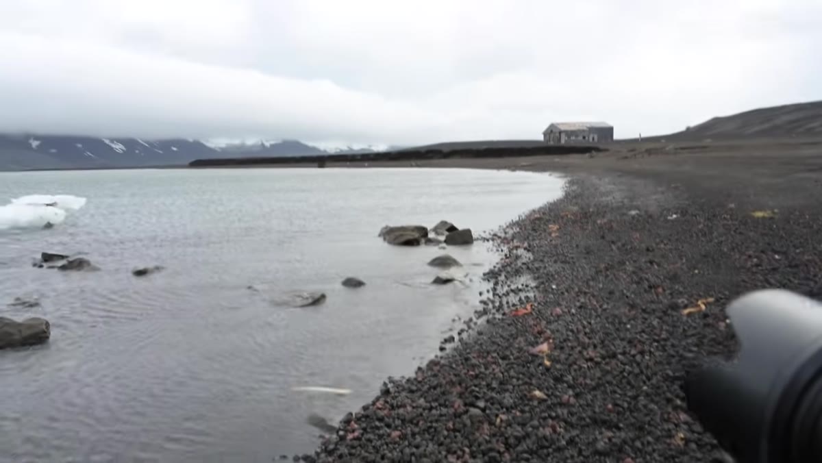 Penguins small in frame against volcanic rock on Deception Island