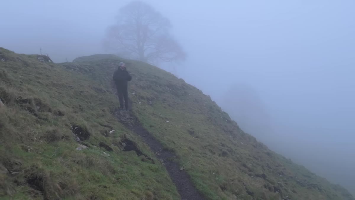 Fog-covered hillside with silhouetted tree shapes visible