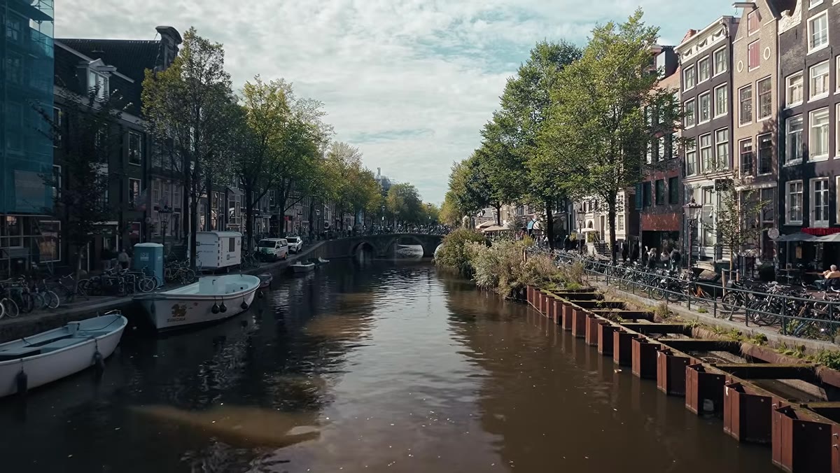 Tucker walking Amsterdam canals watching light shift
