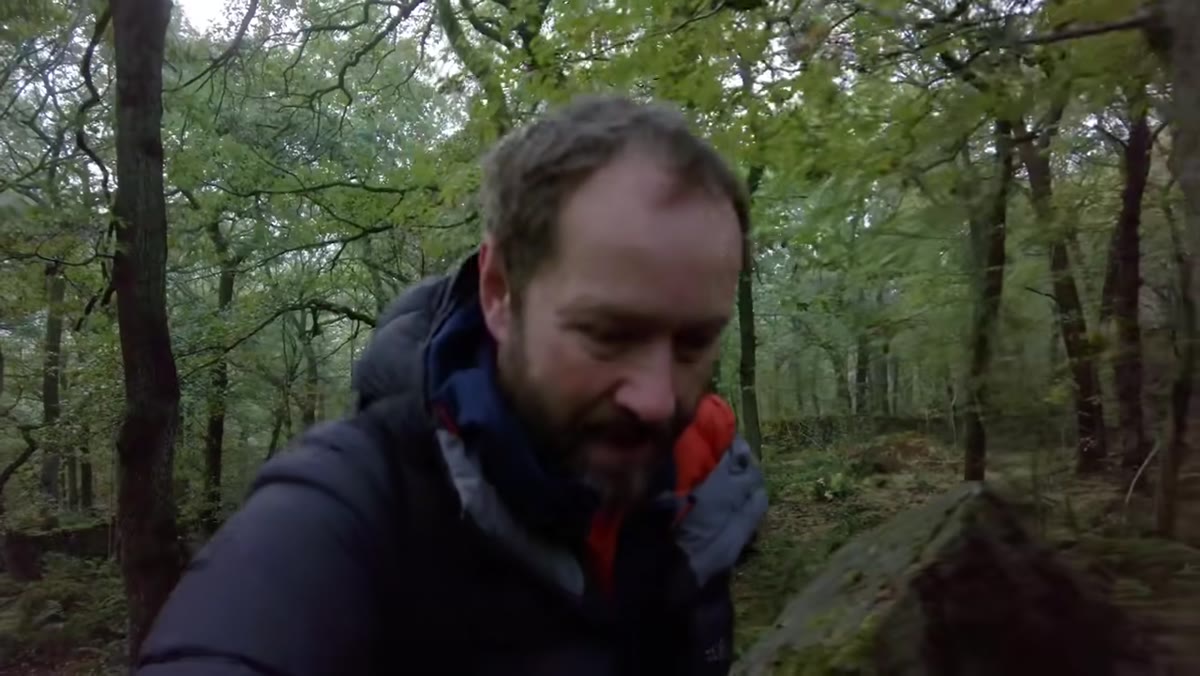 Danson climbing higher through woodland to chase fog