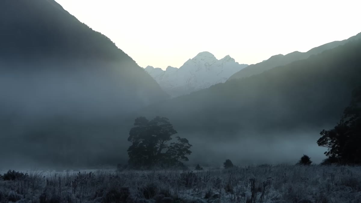 Fog breaking apart behind trees creating layered depth