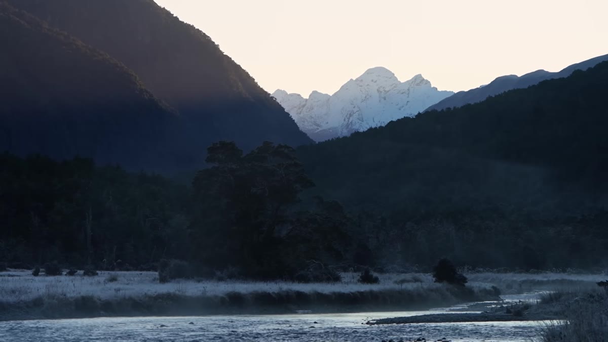 Tight telephoto composition isolating tree and peak from wider valley