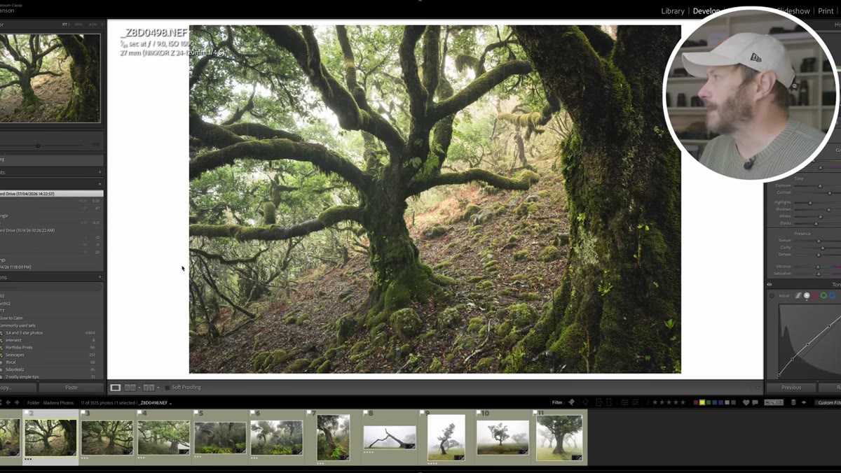 Two versions of same tree showing contrast difference