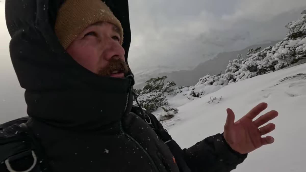 Patino and Dylan walking into snow-dusted beech forest