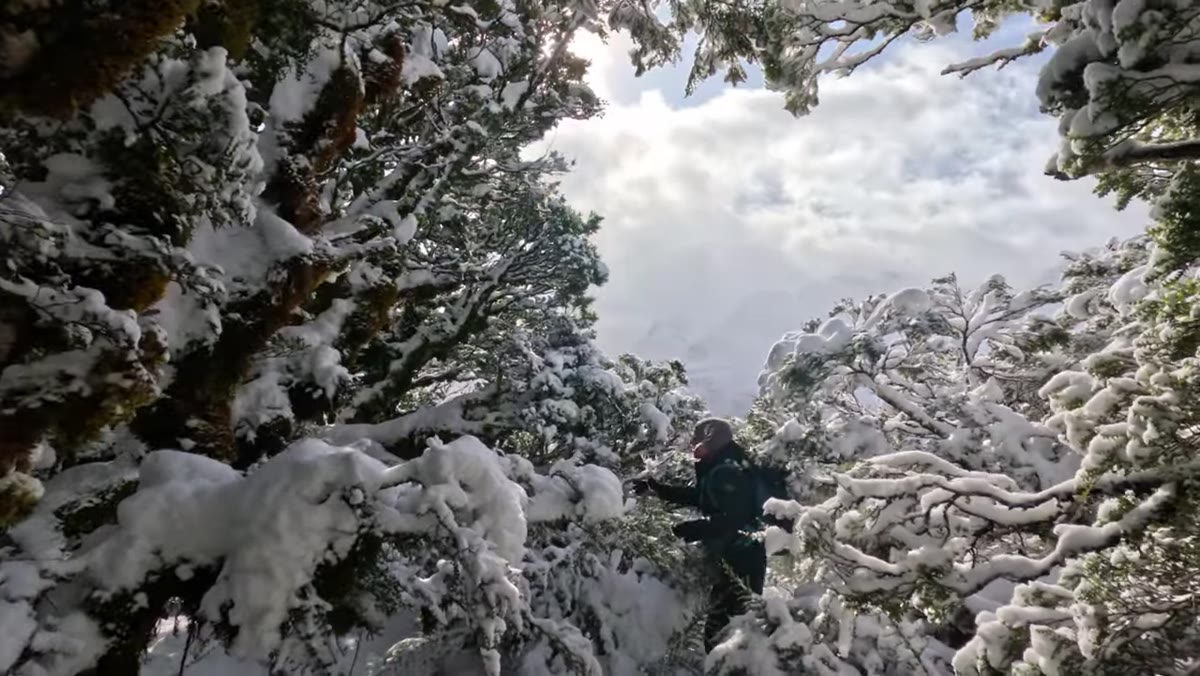 Patino pointing out an overhanging branch forming a natural frame