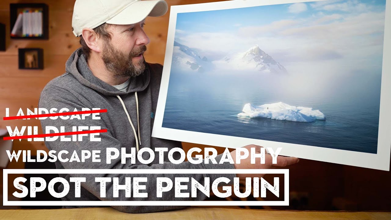 What a Landscape Photographer Shooting Antarctica Taught Me About Patience, Placement, and Wildscape Thinking